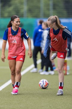 Bild 262 - wBJ Hamburger SV - FC Suederelbe : Ergebnis: 9:0